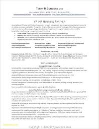 Resume Example With Headshot Photo Cover Letter 1 Page Word Resume Design Diy Cv Example In 2020 Project Manager Resume Resume Examples Business Analyst Resume