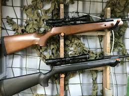 Best is to use official gov. Remington Express 22 Air Rifle Varmint Target Pest Control Package