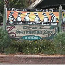 Since its inception in 1927 to present, the zoo's animal population has grown from 40 to. Sacramento Zoo Sacramento Ca California Beaches