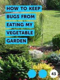 Leaving a hose out in full sunshine before spraying will heat the water and destroy many bugs on contact, and yet others may drown. Learn How To Keep Bugs From Eating My Vegetable Garden How To Guides Tips And Tricks Bug Eating Plants Garden Bugs Garden