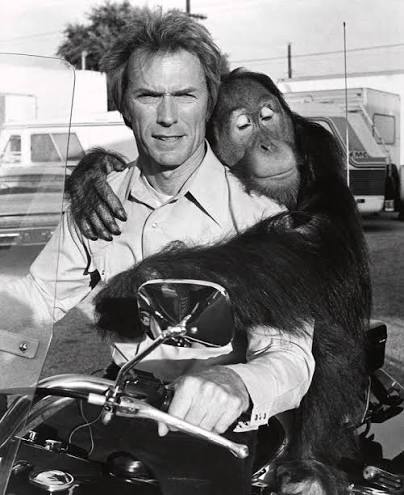 CLINT EASTWOOD in EVERY WHICH WAY BUT LOOSE -1978-. #1 by Album
