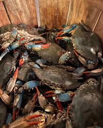 Capt'n Jimmy's Crab House