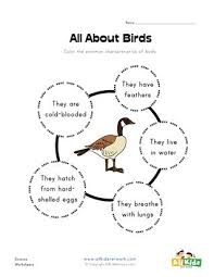 All About Birds Worksheet Birds For Kids Worksheets For Kids Science Worksheets