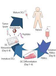 Maybe you would like to learn more about one of these? Analysis Of Cost Of Cell Therapy Manufacturing Autologous Cell Therapies Part 1bioprocess International