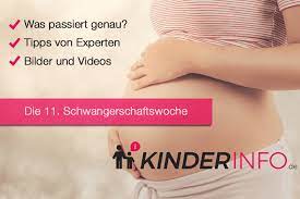 Ssw, vielleicht auch schon etwas früher. á… 11 Ssw Schwangerschaftswoche Details Im Uberblick