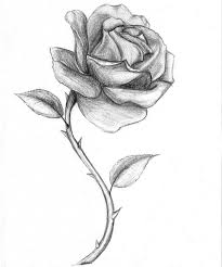 Dibujos para pintar y colorear faciles mas de 100 pequeocio. 1001 Ideas Sobre Como Dibujar Una Rosa Paso A Paso