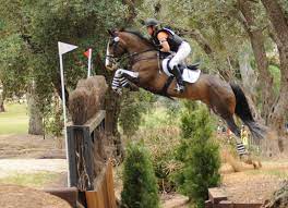 Derek di grazia's (usa) track should certainly create some disruption to … Meet Amanda Ross Olympic Equestrian Rock Star Rocktape