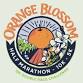 AdventHealth Orange Blossom Half Marathon-10K-5K event image