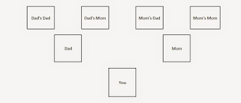 Analytic Genealogy Genetic Genealogy Needs Horizontal