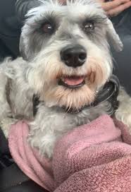 About Me: Catherine McAllister