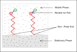 Laura grell and alexander butarbutar contact llg3875@rit.edu or nbb3924@rit.edu for contributions chapter modified by kai burnett and dalia ghoneim contact kab9783@rit.edu or dxg6098@rit.edu. Ion Pair Chromatography In Reverse Phase Hplc