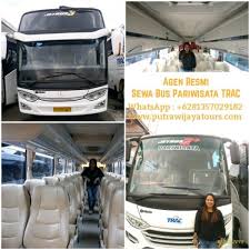 Bus rosalia indah adalah armada bus antar provinsi di indonesia yang berbeda dengan bus pada umumnya nih readers. Lowongan Kerja Kenek Bus Pariwisata Dengan