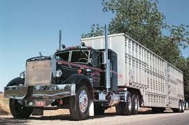 1953 Mack Lt Cattle Truck Mack Trucks Big Trucks Big Rig Trucks
