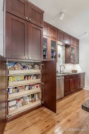Don T Sacrifice Style For Storage Tall Pantry Cabinets Are A Great Option For All Y Shaker Style Kitchen Cabinets Online Kitchen Cabinets Buy Kitchen Cabinets