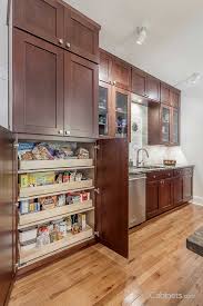 You can order an entire kitchen and have this delivered for the most convenience! Shaker Cherry Java Online Kitchen Cabinets Buy Kitchen Cabinets Buy Kitchen