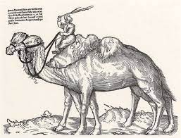 Because camel does not support all data services, the decision to implement camel iii or iv will be a business decision. Dromedary Camelus Dromedarius And Bactrian Camel Camelus Bactrianus Crossbreeding Husbandry Practices In Turkey And Kazakhstan An In Depth Review Pastoralism Full Text