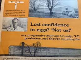 1963 Magazine Article. Max Brender. Liberty, New York. Egg Farmer. Poultry