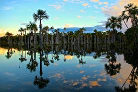 Over the last 10 years, she has been involved in work with brands, books, fashion, music, campaigns and. Water Pollution In Brazil A Serious Issue With Some Improvements