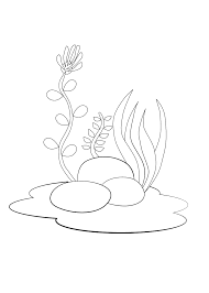 Wil je weten hoe je een eenhoorn tekent? Vissen Kleurplaat 69 Leukste Kleurplaat Vissen Voor Kids