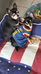 And another sweet Royal T...