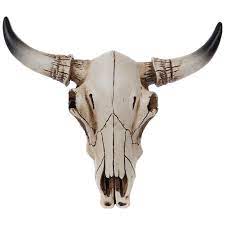 Check spelling or type a new query. Bull Skull Wall Decor Small Hobby Lobby 39706