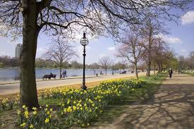 £5 500 starting price per sq ft. Hyde Park Day Out With The Kids
