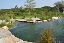 Natural Swimming Pool Design