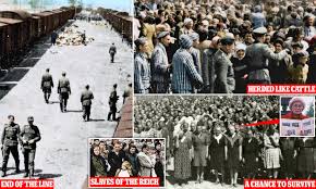 We did not find results for: Newly Colourised Images Of Auschwitz 75 Years Ago Reveal Horror Of The Notorious Concentration Camp Daily Mail Online