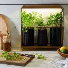 Generally, indoor herb garden kits come with many amazing benefits. 28 Gardening Kits To Check Out If You Need A New Hobby