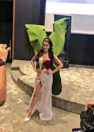 Conceptualised by fashion designer, brian khoo, the gown that took a month to make has been stirring up quite a storm on the internet since its reveal. Miss Universe Malaysia S Nasi Lemak Dress Is So Realistic It Comes With Banana Leaf Wings