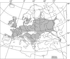 Image result for Trichopteryx fruticulosa