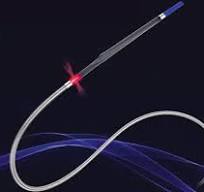 Optical coherence tomography catheter - LumenCross® F2 ...