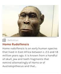 Where is the biblical Adam in evolution theory?