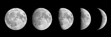 images?q=tbn:ANd9GcT_03hj_p_9h6OWtex1LiP