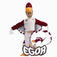 I had a manly sea eagle once. Buy Nrl Egor The Manly Sea Eagle Mascot Kids Costume Grays Australia