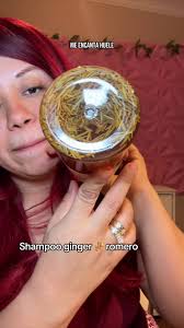 Shampoo Ginger and Rosemary Haircare