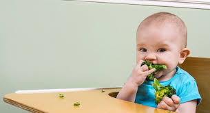 Das baby isst, was es „in die hände  bekommt. Baby Led Weaning Babycenter