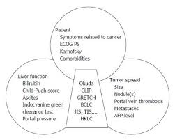 Liver cancer symptoms and diagnosis. Usefulness Of Staging Systems And Prognostic Scores For Hepatocellular Carcinoma Treatments
