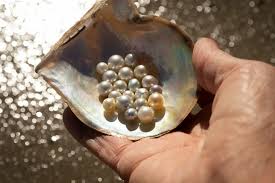 All You Need to Know About Akoya Pearls | Akoya Pearls Explained
