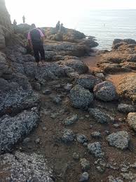 Stayed 1 night in march 2020. Pantai Air Papan Mersing 2021 All You Need To Know Before You Go Tours Tickets With Photos Tripadvisor