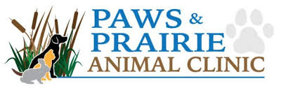 Check spelling or type a new query. Download The Petpro Connect App In Wadena Mn Paws And Prairie Animal Clinic