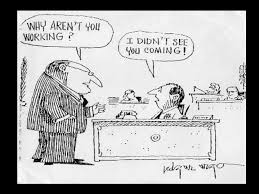 I can't work in the dark. Funny Clean Office Jokes