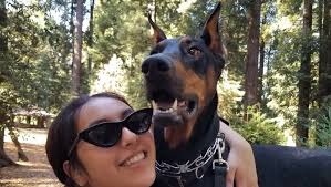 Fundraiser by Jesse Hernandez : Help Hercules Heal: Urgent Medical Fund