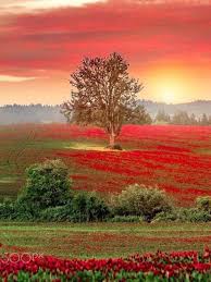 Nature Beautiful Landscapes Amazing Nature Beautiful Nature