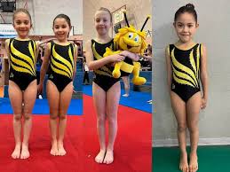 L'Alveare ASD e i traguardi raggiunti