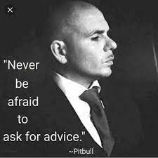 Pin On Pitbull Mr 305 Mr Worldwide