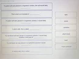 Maybe you would like to learn more about one of these? If A Plant Cell Were Placed In A Hypotonic Solution Chegg Com