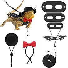 We did not find results for: Buy Small Animals Collars Harnesses Leashes Online In Indonesia At Best Prices