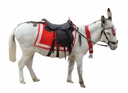 Modificarile codului fiscal care vor intra in vigoare de la 01.01.2018. Noutati Fiscale 2020 Contabilitate Fiscalitate Monografii Contabile