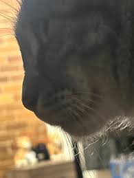 Terrence Ring (@terrenceringtrucking) • Instagram photos and videos